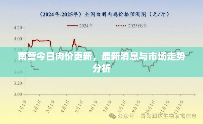 南营今日肉价更新，最新消息与市场走势分析