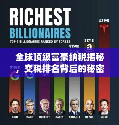 全球顶级富豪纳税揭秘，交税排名背后的秘密财富故事