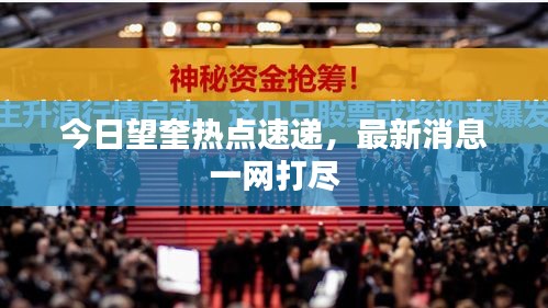 今日望奎热点速递，最新消息一网打尽