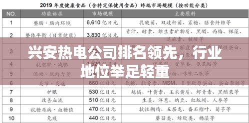 兴安热电公司排名领先，行业地位举足轻重