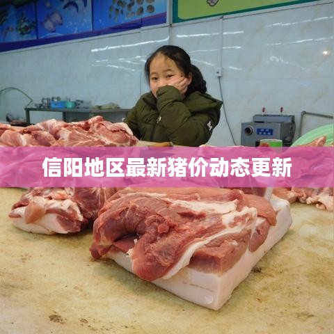 信阳地区最新猪价动态更新