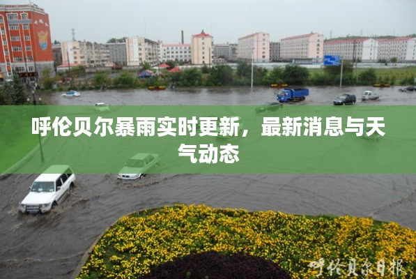 呼伦贝尔暴雨实时更新，最新消息与天气动态