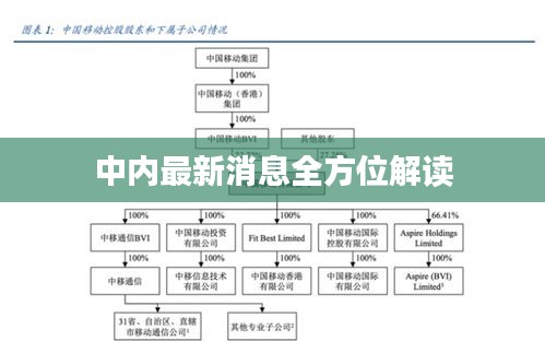 中内最新消息全方位解读