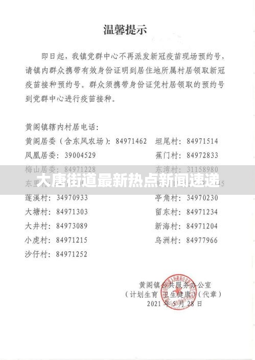 大唐街道最新热点新闻速递