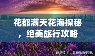 花都满天花海探秘，绝美旅行攻略