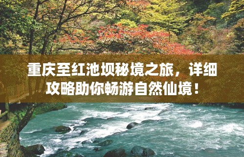 重庆至红池坝秘境之旅，详细攻略助你畅游自然仙境！