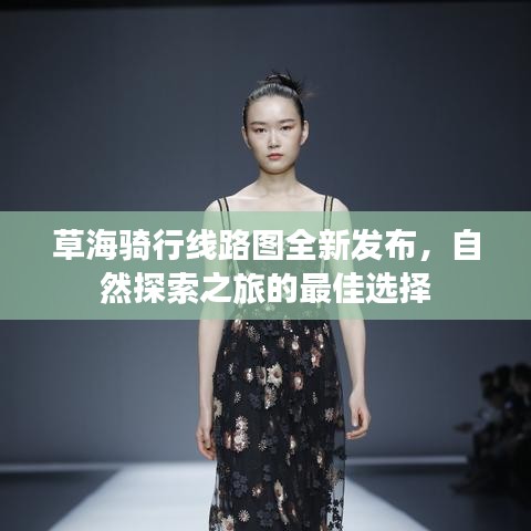 草海骑行线路图全新发布，自然探索之旅的最佳选择