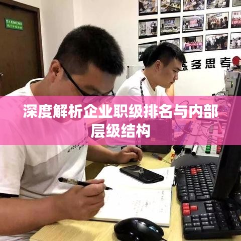 深度解析企业职级排名与内部层级结构