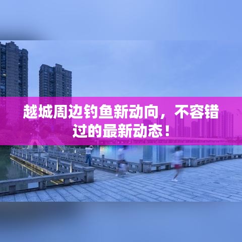 越城周边钓鱼新动向，不容错过的最新动态！