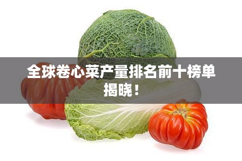 全球卷心菜产量排名前十榜单揭晓！