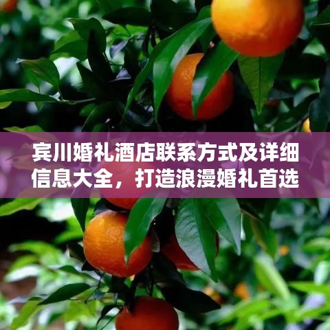 宾川婚礼酒店联系方式及详细信息大全，打造浪漫婚礼首选！