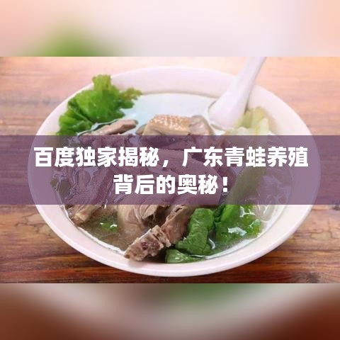 百度独家揭秘，广东青蛙养殖背后的奥秘！