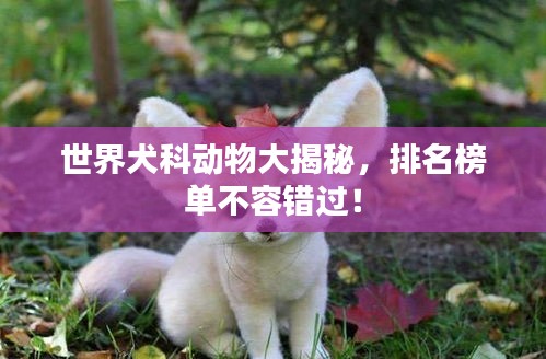 世界犬科动物大揭秘，排名榜单不容错过！