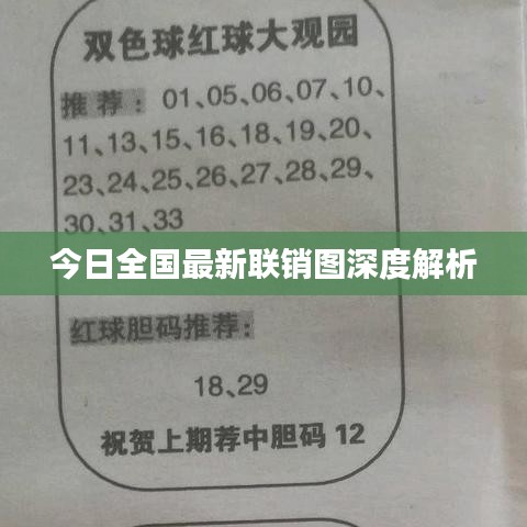 今日全国最新联销图深度解析