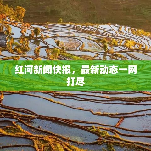 红河新闻快报，最新动态一网打尽
