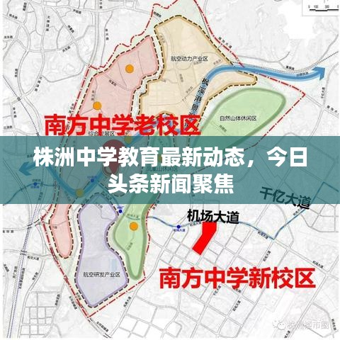株洲中学教育最新动态，今日头条新闻聚焦