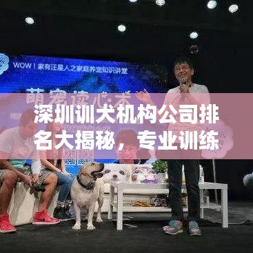 深圳训犬机构公司排名大揭秘，专业训练师团队与优质服务的完美结合榜单！