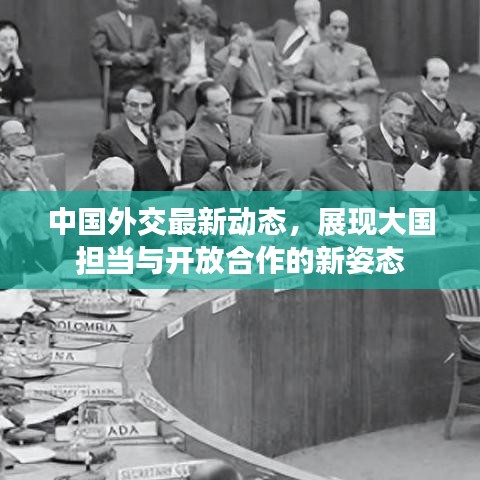 中国外交最新动态，展现大国担当与开放合作的新姿态