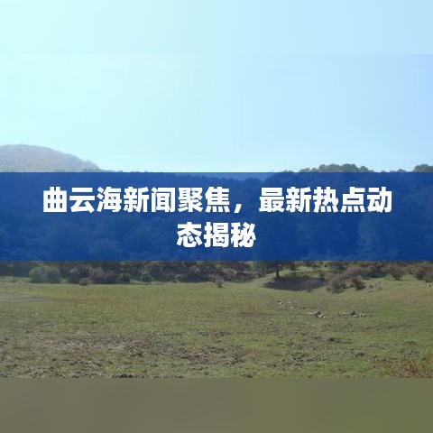 曲云海新闻聚焦，最新热点动态揭秘