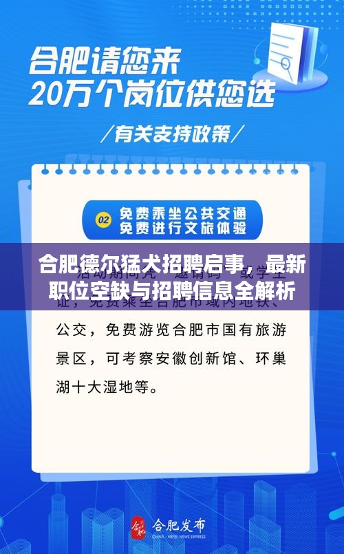 合肥德尔猛犬招聘启事，最新职位空缺与招聘信息全解析