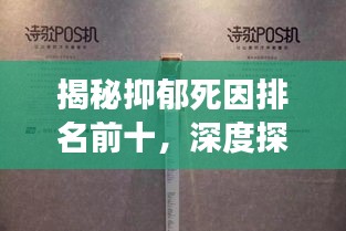 揭秘抑郁死因排名前十，深度探讨背后的故事