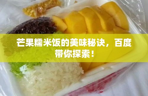 芒果糯米饭的美味秘诀，百度带你探索！
