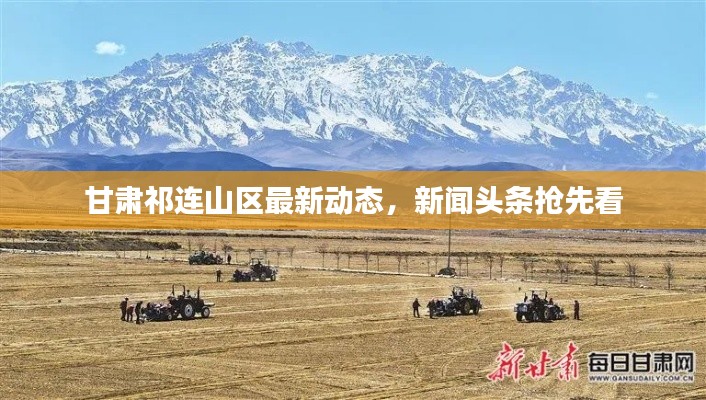甘肃祁连山区最新动态，新闻头条抢先看