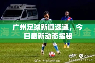 广州足球新闻速递，今日最新动态揭秘
