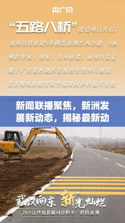 新闻联播聚焦，新洲发展新动态，揭秘最新动态重磅报道