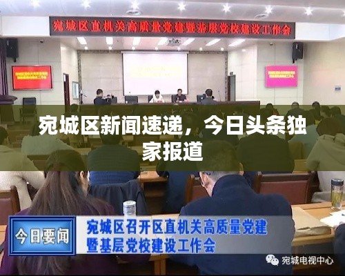 宛城区新闻速递，今日头条独家报道