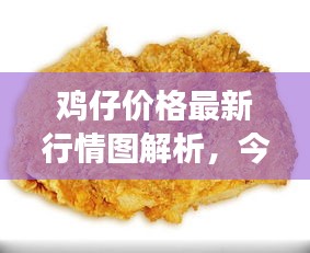 鸡仔价格最新行情图解析，今日市场动态一目了然