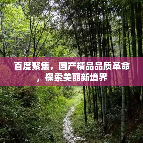 百度聚焦，国产精品品质革命，探索美丽新境界