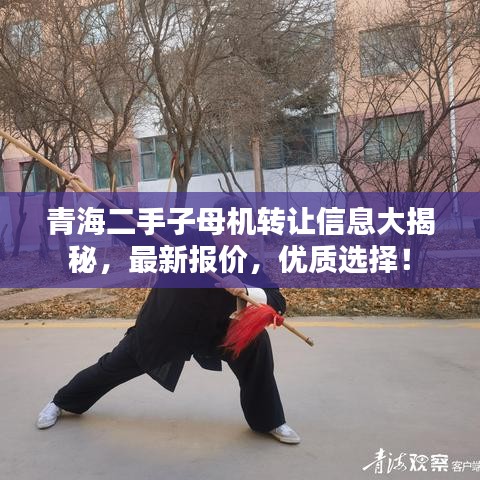 青海二手子母机转让信息大揭秘，最新报价，优质选择！