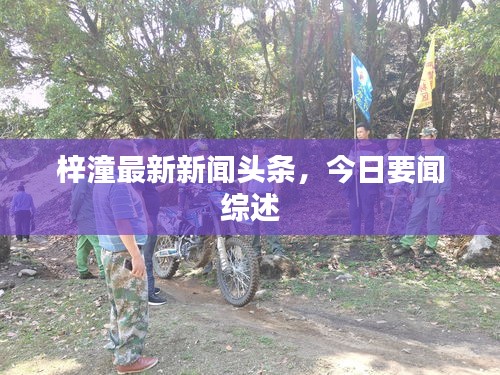 梓潼最新新闻头条，今日要闻综述
