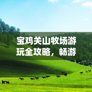 宝鸡关山牧场游玩全攻略，畅游草原，尽享自然盛宴！