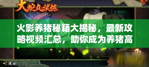 火影养猪秘籍大揭秘，最新攻略视频汇总，助你成为养猪高手！
