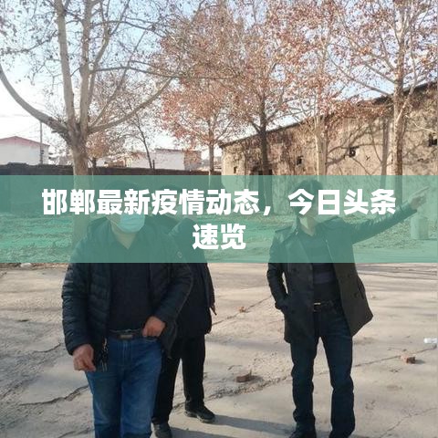 邯郸最新疫情动态，今日头条速览