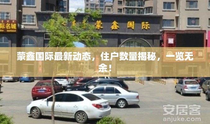 蒙鑫国际最新动态，住户数量揭秘，一览无余！