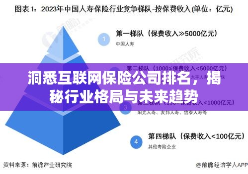 洞悉互联网保险公司排名，揭秘行业格局与未来趋势