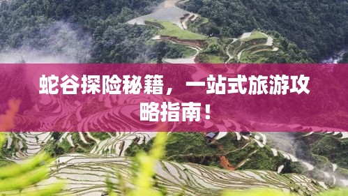 蛇谷探险秘籍，一站式旅游攻略指南！