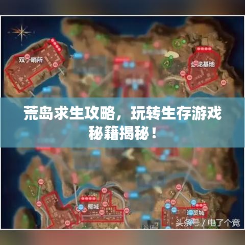 荒岛求生攻略，玩转生存游戏秘籍揭秘！