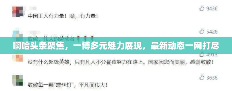 啊哈头条聚焦，一博多元魅力展现，最新动态一网打尽