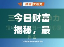 今日财富揭秘，最新行情观察与深度解读