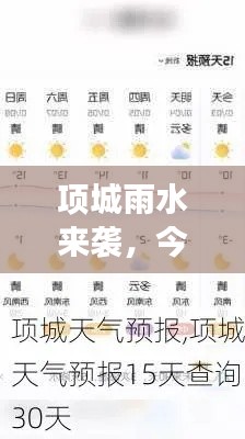 项城雨水来袭，今日天气预报及最新动态全面解读