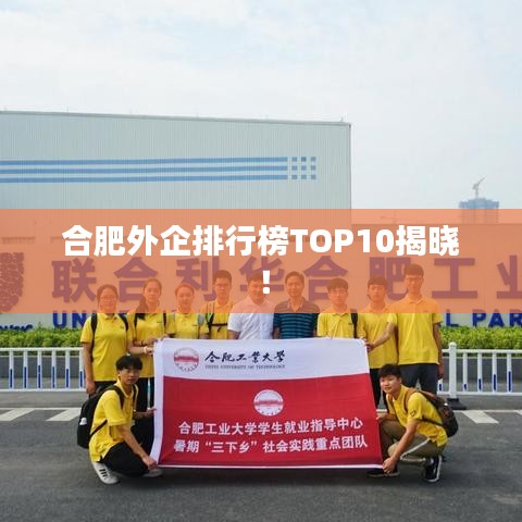 合肥外企排行榜TOP10揭晓！