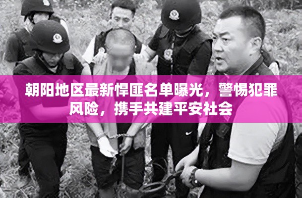 朝阳地区最新悍匪名单曝光，警惕犯罪风险，携手共建平安社会