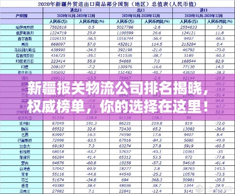 新疆报关物流公司排名揭晓，权威榜单，你的选择在这里！