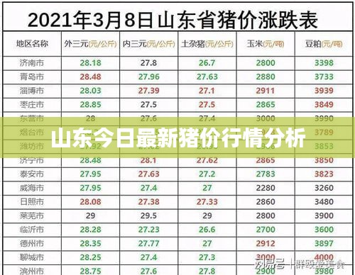 山东今日最新猪价行情分析