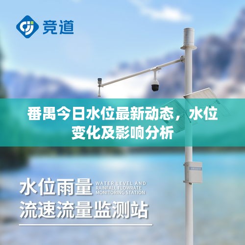 番禺今日水位最新动态，水位变化及影响分析