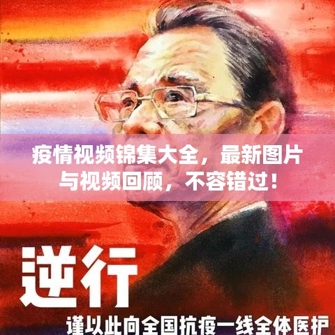 疫情视频锦集大全，最新图片与视频回顾，不容错过！